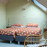 De Ouw Skuur 4*