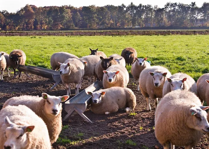 De Ouw Skuur Oirschot