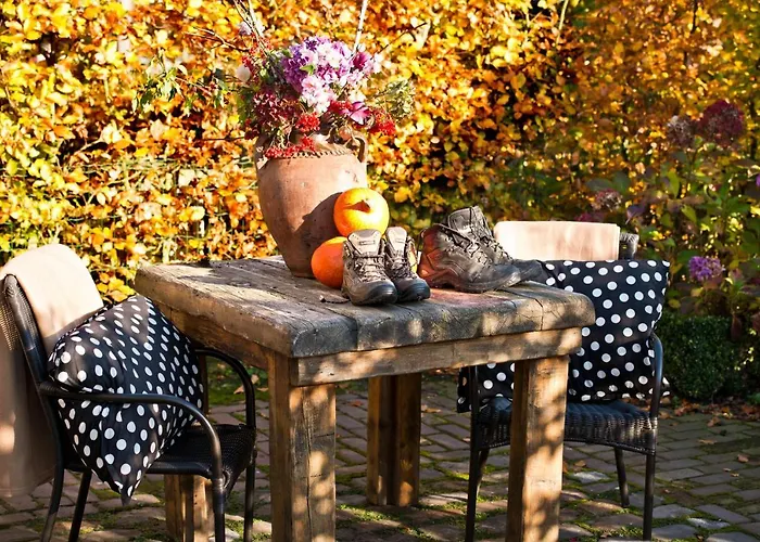 Bed & Breakfast De Ouw Skuur Oirschot