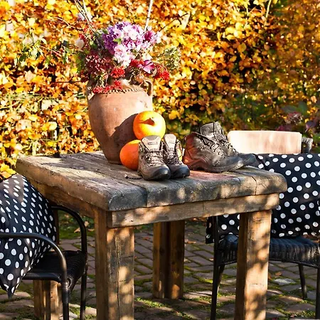 לינה וארוחת בוקר De Ouw Skuur אוירשחוט